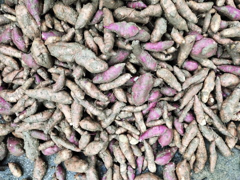 里脊肉串串圖片素材下載 食品餐飲素材下的小吃美食圖片素材