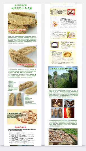 淘寶烏天麻詳情頁寶貝描述模板psd分層素材下載-編號11633906-淘寶詳情頁