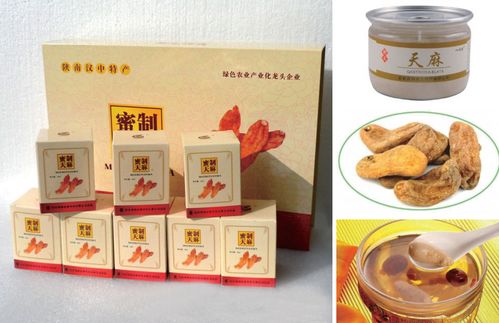 項(xiàng)目?jī)?nèi)容 燕...寧強(qiáng)縣天麻食藥產(chǎn)品開(kāi)發(fā)項(xiàng)目 寧強(qiáng)縣人民政府
