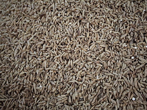 金寨天麻專賣店 金寨天麻價格 金寨天麻哪里買 途牛移動站