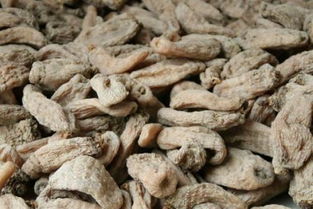 生天麻怎么曬干