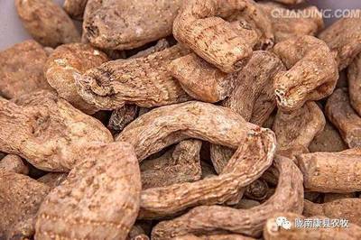 康縣農(nóng)特產(chǎn)品推介會即將盛大開幕,期待您的參與